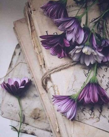 Feuilles de papier et violet