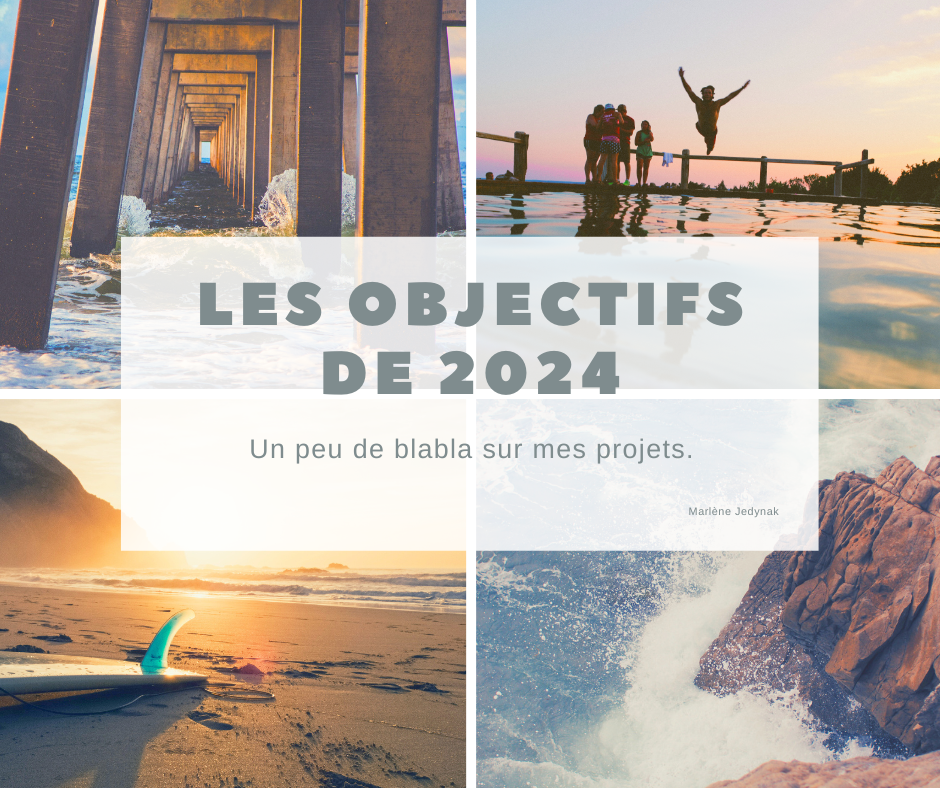 Les objectifs de 2024 copie