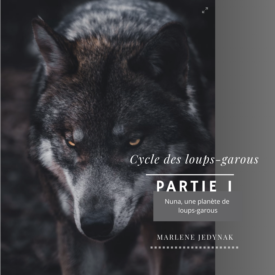 Tome 6 article les coulisses d un cycle copie