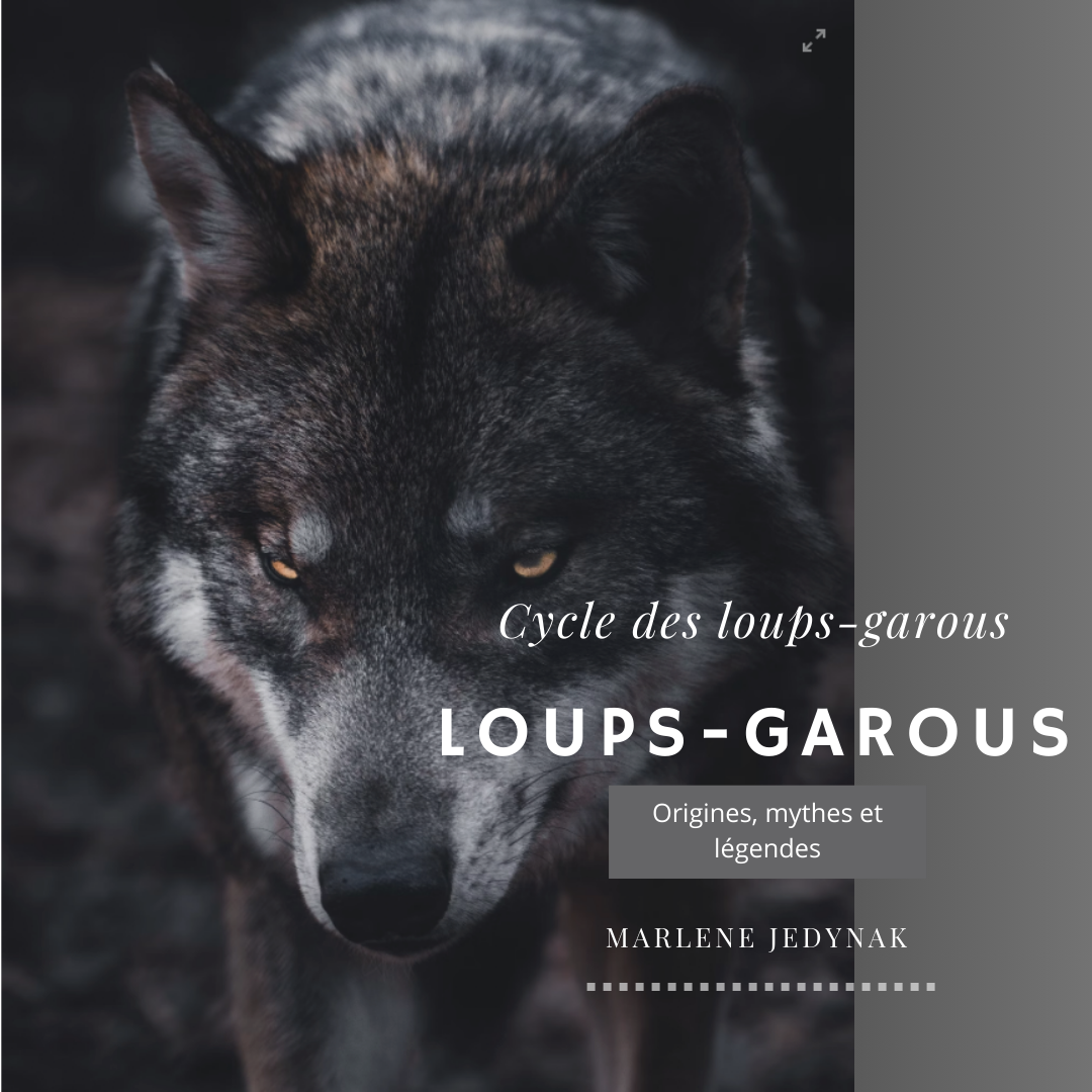 Tome 6 article pour blog